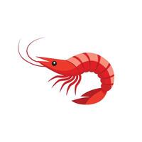 Red shrimp flat illustration on white background vector