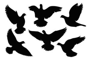 Quail flying silhouettes set isolated flat illustration on white background vector