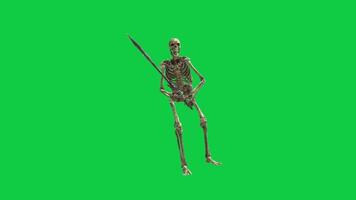 Skeleton with holding sword standing movement, angry attacking reaction 3d animation isolated on green screen background video