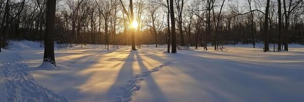 The sun is setting in the middle of a snowy forest photo