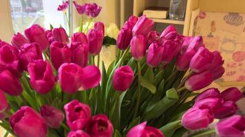 girl displays huge amount of crimson tulips in vase against window background Delicate pink tulips bouquet in macro, soft petals and spring floral elegance video