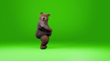 Animated bear dancing and walking on green screen. Green screen chromakey video