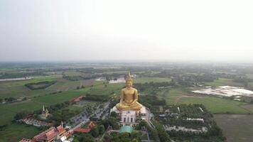 A large golden buddha statue sits in the middle of a field video