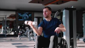 uomo nel sedia a rotelle fare bicipite arricciare esercizio video