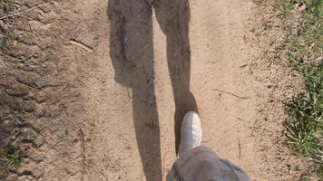 Gentle shadows and soft, quiet footsteps together create a peaceful and calming vibe on a sunny sandy trail video