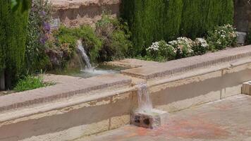 Tranquil water feature in a serene garden setting video