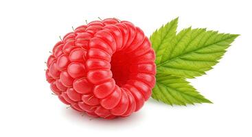 raspberry fruit isolated on white background with shadow. organic and fresh raspberries full of vitamins on white background. juicy, vegan and vegetarian red raspberry fruit photo