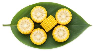 Organic corn cob slices top view flat lay with visible kernels isolated on white background for food and nutrition themes photo