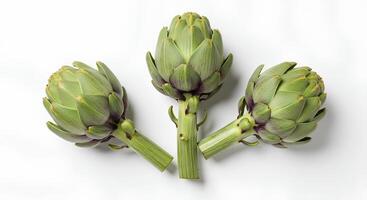 artichoke on white background top view flat lay photo