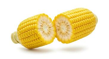 Whole corn cob placed on white background for harvest season and farm-to-table visuals photo