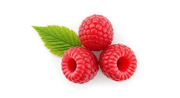 Ripe raspberries isolated on white surface with subtle shadow for plant-based diets, wellness content, and antioxidant-rich meals photo