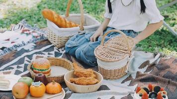 A woman sitting on a blanket with a basket of food video
