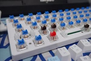 Close-up of mechanical keyboard switches with dominant blue switches. Red and brown switches are also visible, showcasing switch variety. photo