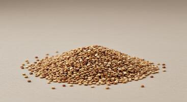A mound of nutritious, beige quinoa seeds arranged artfully against a simple background. photo