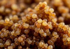 A detailed capture of small, amber-toned resin droplets, clustered together, filling the frame. photo
