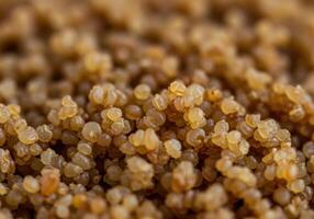 Macro shot of a mound of cooked quinoa, displaying the texture of this nutritious seed. photo