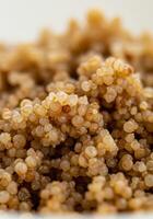 A detailed macro photograph capturing the appearance of cooked quinoa grains. photo