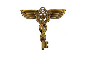 hand drawn illustration of key with wings vector