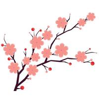 Sakura branch shows delicate spring bloom. Pink flowers bloom brightly. Bloom design. vector