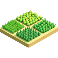 Cultivated Field with Rows of Green Crops png