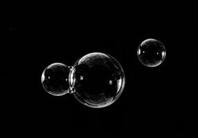 Several soap bubbles of different sizes float against a stark black background. photo