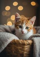 A curious ginger and white kitten gazes from inside a cozy basket, surrounded by bokeh. photo