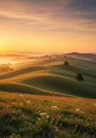 The soft morning sun bathes rolling green hills in a beautiful, golden light, creating a serene view. photo