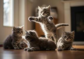 A delightful scene of playful kittens enjoying their time indoors under warm sunlight. photo