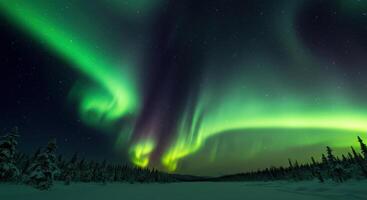 An ethereal display of the aurora borealis paints the night sky with vibrant hues. photo