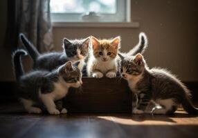 Four adorable kittens gathered together inside, creating a beautiful scene with warm lighting. photo