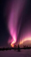 Captivating display of aurora borealis dancing in the night sky above a snowy terrain. photo
