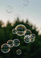 A cluster of colorful soap bubbles floats gracefully against a blurred natural background. photo