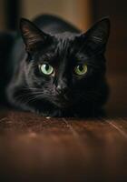 A striking black cat with striking green eyes, in a captivating and elegant close up. photo