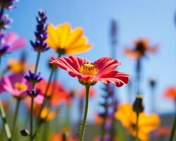 Vibrant Colorful Flowers in Bloom Against a Bright Blue Sky photo