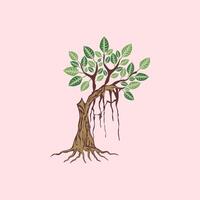 Illustration of a tree with green leaves and roots on a pink background. tree icon design, Design element illustration of a banyan tree that is not too big yet. vector