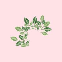 Leaf design over pink background, Green leaves isolated on pink background. Nature illustration for your design. Illustration design elements with a natural theme vector