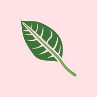 Leaf design over pink background, Green leave isolated on pink background. Nature illustration for your design. Illustration design elements with a natural theme vector