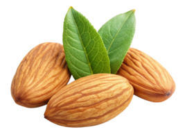 A close-up of three raw almonds with vibrant green leaves, showcasing their natural texture and color. png