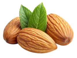 A close-up of three almonds with green leaves, showcasing their natural texture and earthy colors. png