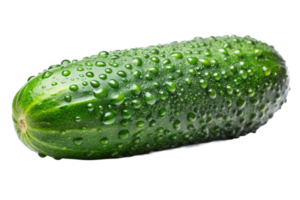 Fresh cucumber adorned with water droplets, showcasing its vibrant green color and smooth texture. png