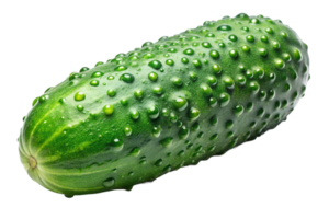 A fresh, green cucumber glistening with droplets of water, showcasing its textured skin and vibrant color. png