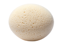 A close-up of a round, porous natural sea sponge showcasing its intricate texture and pale color. png