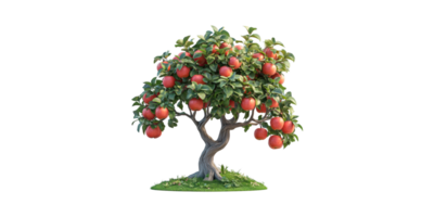 Apple Tree Laden With Red Apples Grass. Symbol Of Abundance And Natural Growth Isolated On Transparent Background png