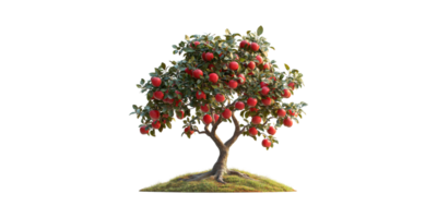 Apple Tree Laden With Red Apples Grassy Hill. Symbol Of Abundance And Nature'S Bounty Isolated On Transparent Background png