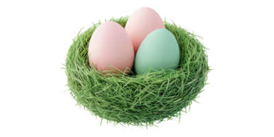 Three colorful eggs in green nest isolated on transparent background png