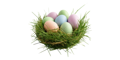 Bird Nest With Colorful Eggs Isolated on Transparent Background png