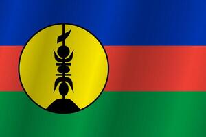Flag of the country New Caledonia on a white background vector