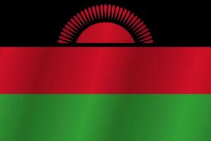 The Flag of the country Malawi on a white background vector