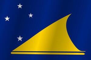 The Flag of the country Tokelau on a white background vector
