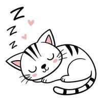 Doodle Style Cat with Whiskers vector